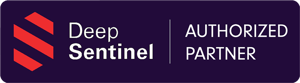 DSlogo