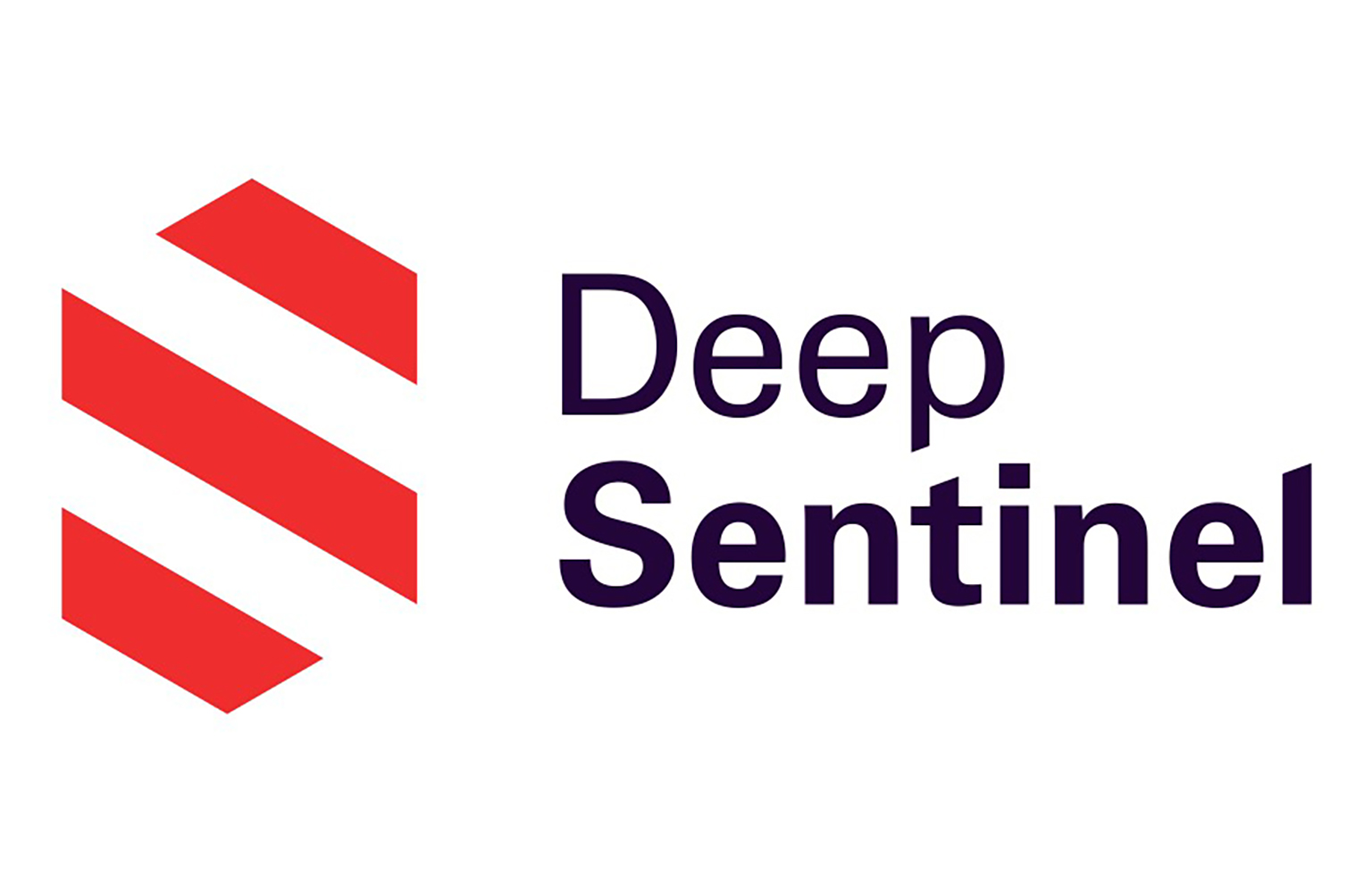 DeepSentinel